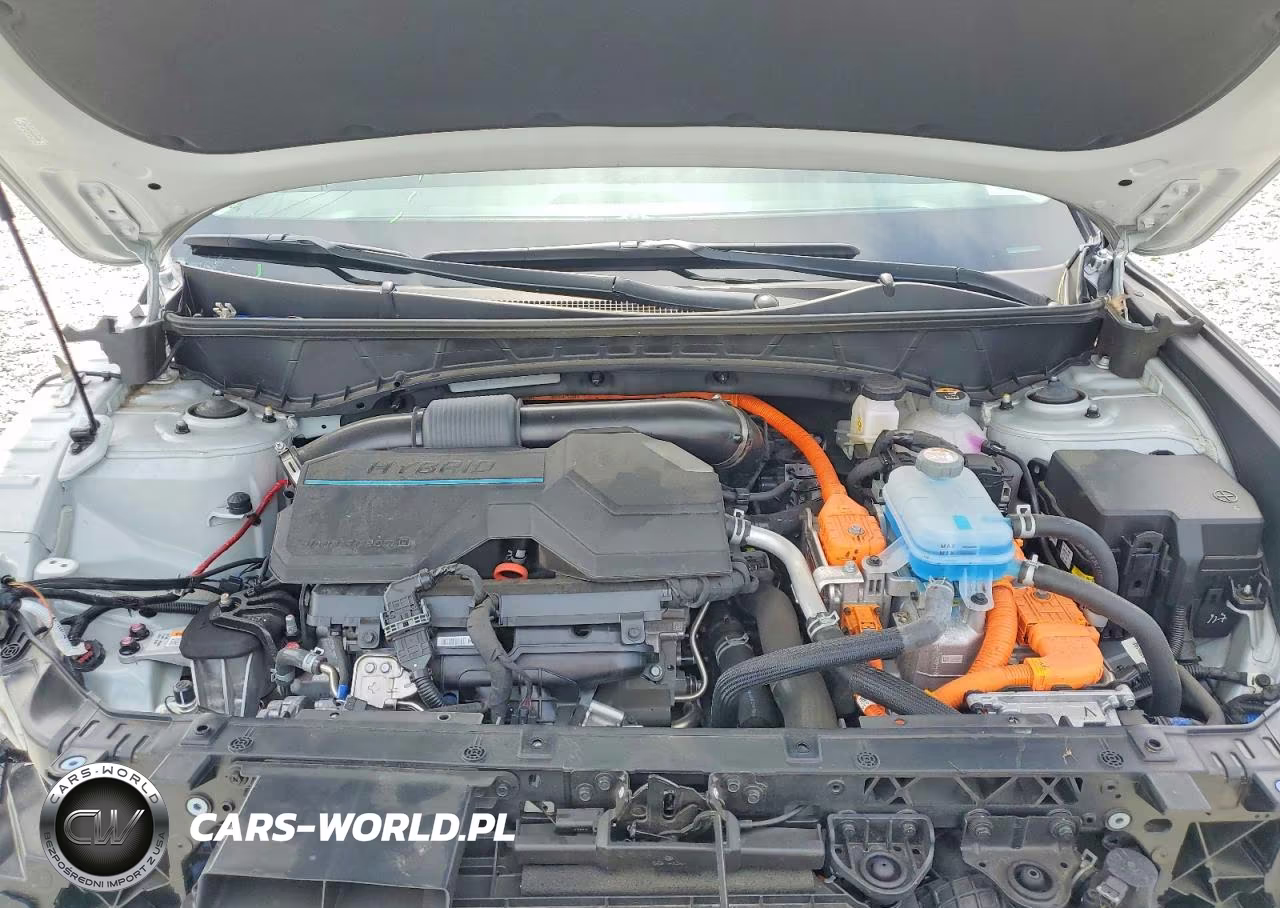 2024 Hyundai Tucson Limited VIN:KM8JFDD25RU224985 - 12