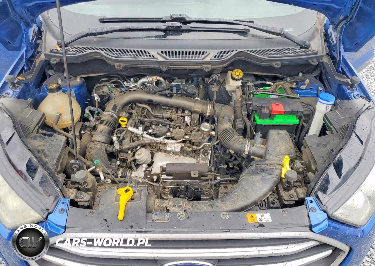 2018 Ford Ecosport Se VIN:MAJ3P1TEXJC243861 - 12