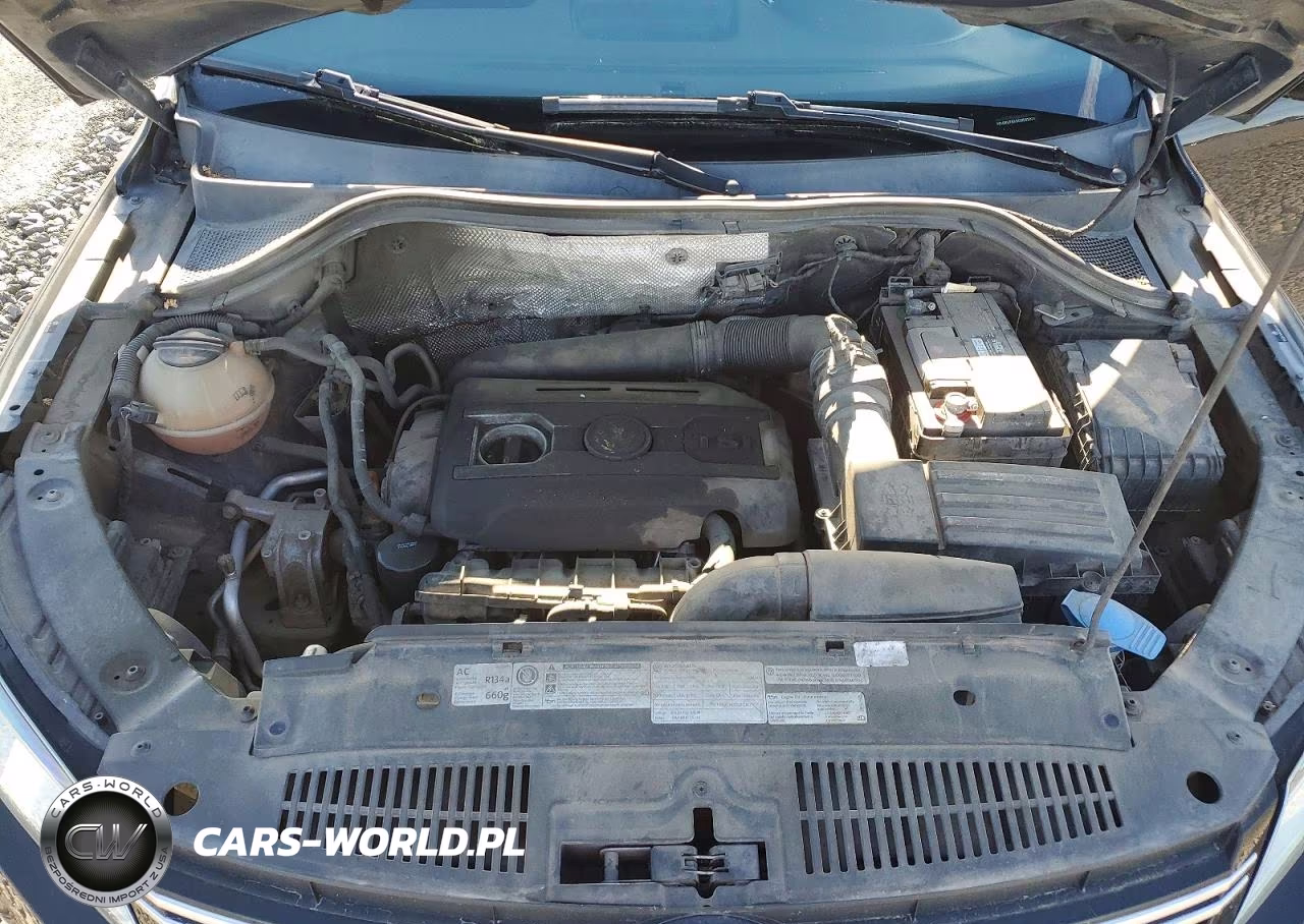 2012 Volkswagen Tiguan S VIN:WVGBV7AX6CW503009 - 12