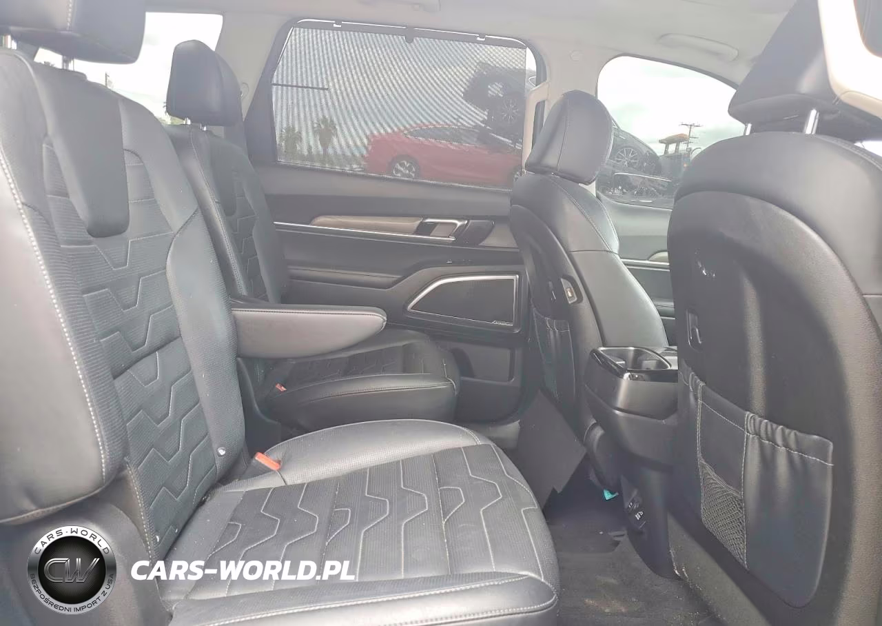 2022 Kia Telluride Sx VIN:5XYP5DHC9NG285322 - 10
