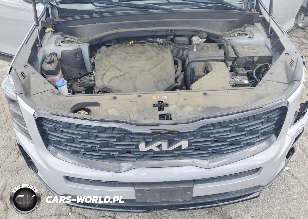 2022 Kia Telluride Sx VIN:5XYP5DHC9NG285322 - 11