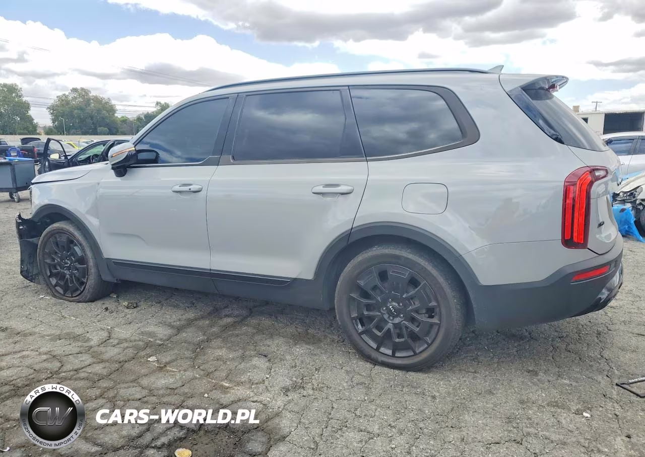 2022 Kia Telluride Sx VIN:5XYP5DHC9NG285322 - 2