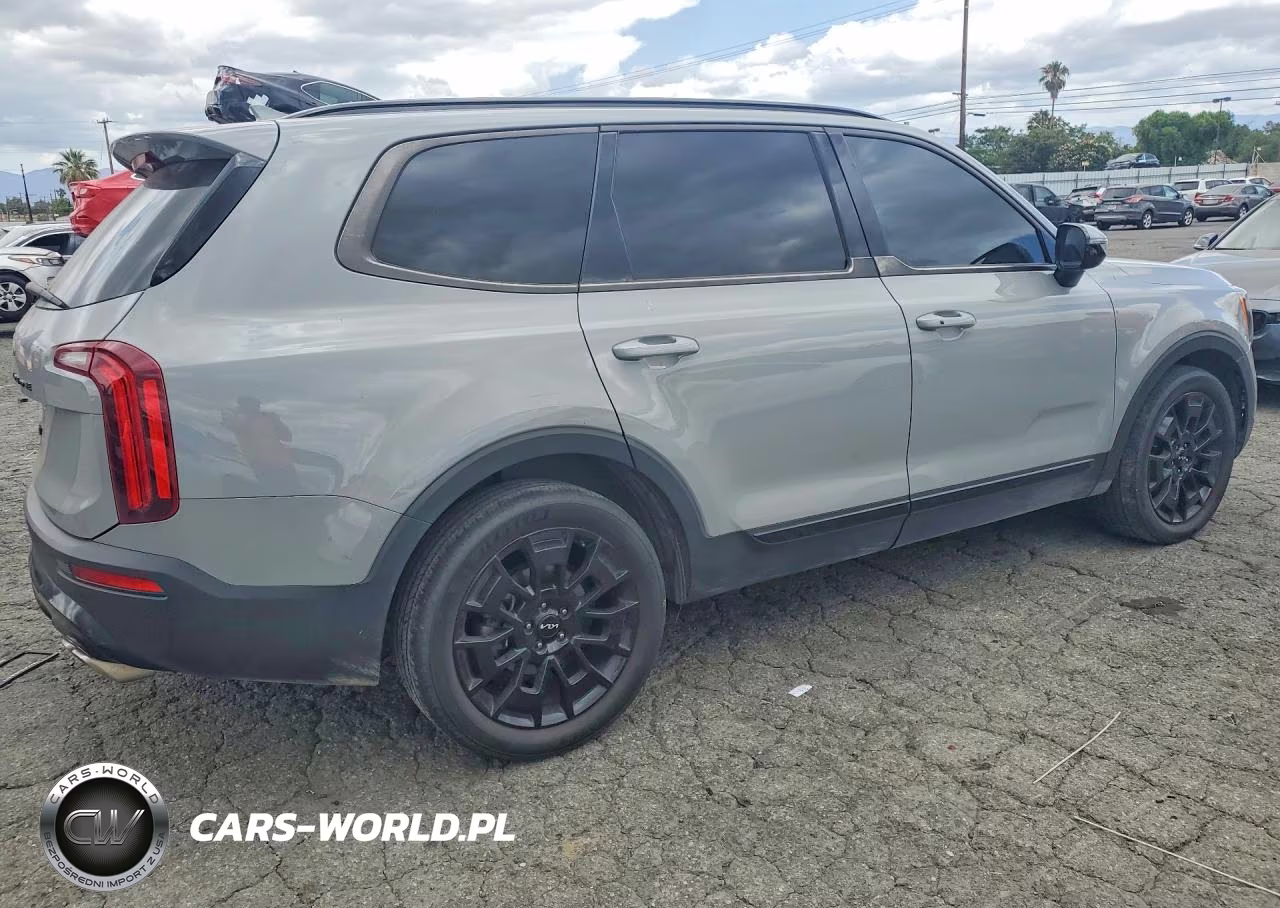 2022 Kia Telluride Sx VIN:5XYP5DHC9NG285322 - 3