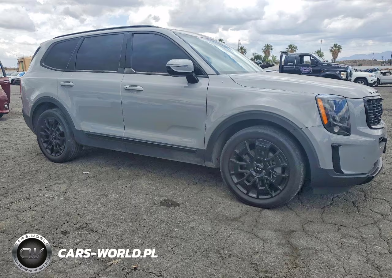 2022 Kia Telluride Sx VIN:5XYP5DHC9NG285322 - 4
