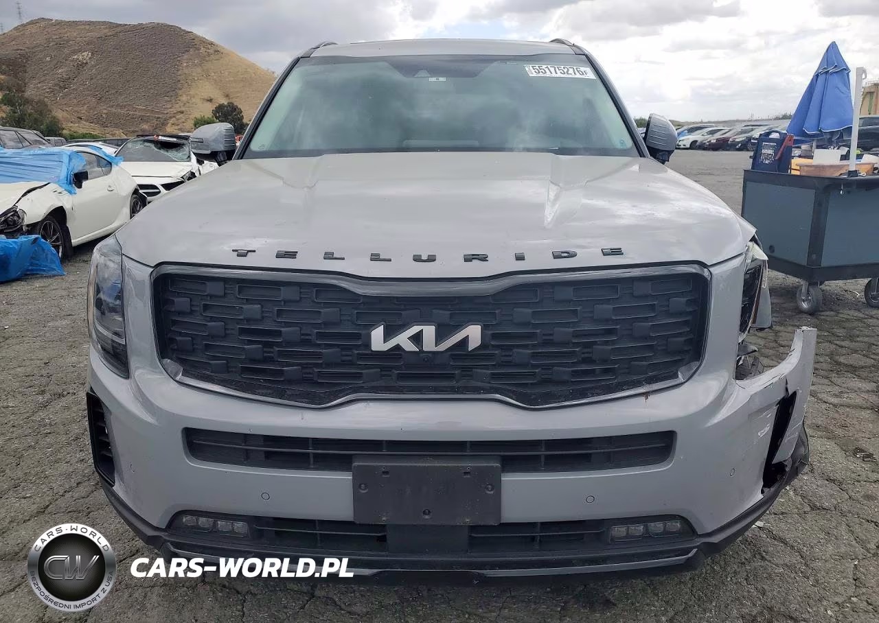2022 Kia Telluride Sx VIN:5XYP5DHC9NG285322 - 5