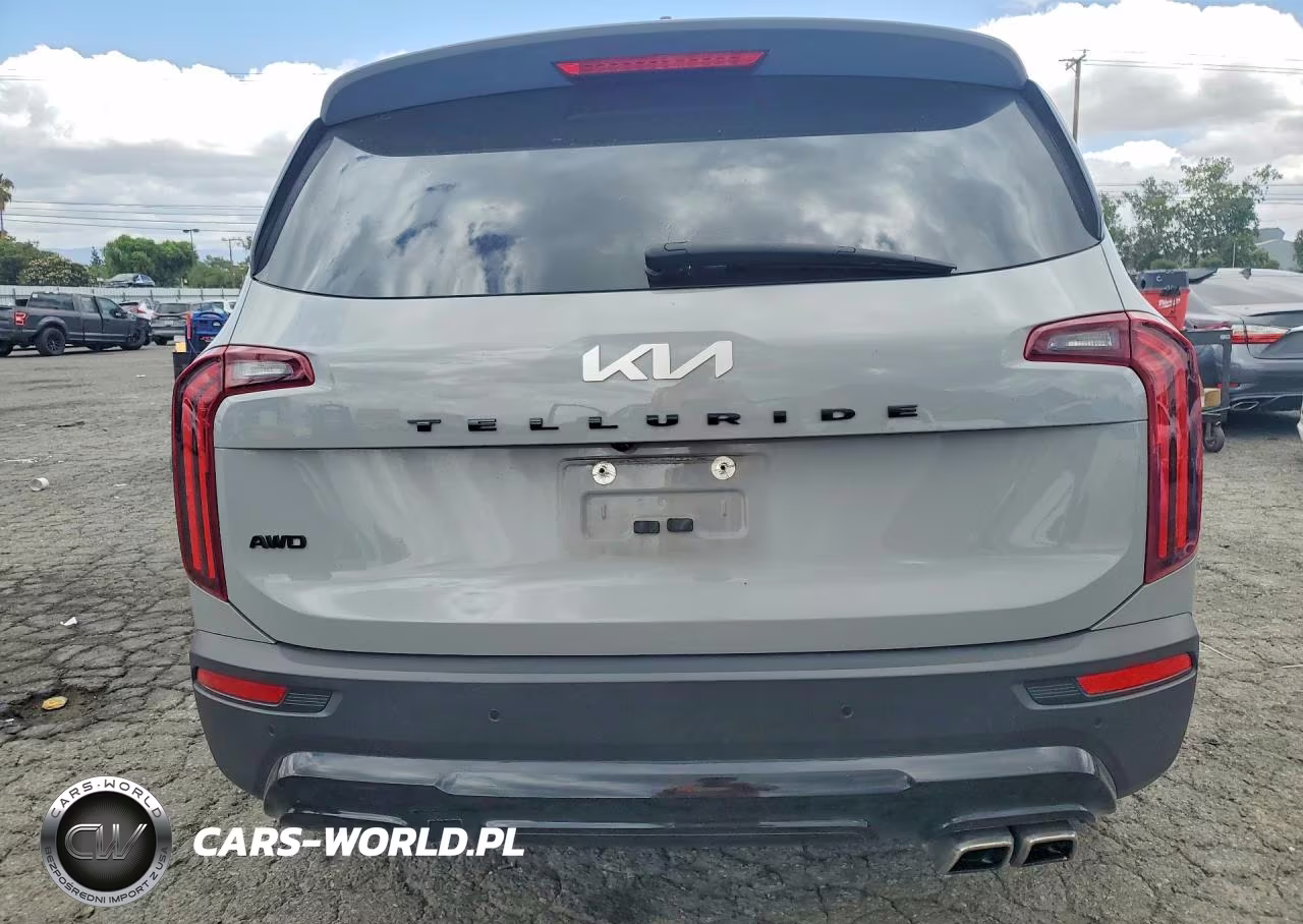 2022 Kia Telluride Sx VIN:5XYP5DHC9NG285322 - 6