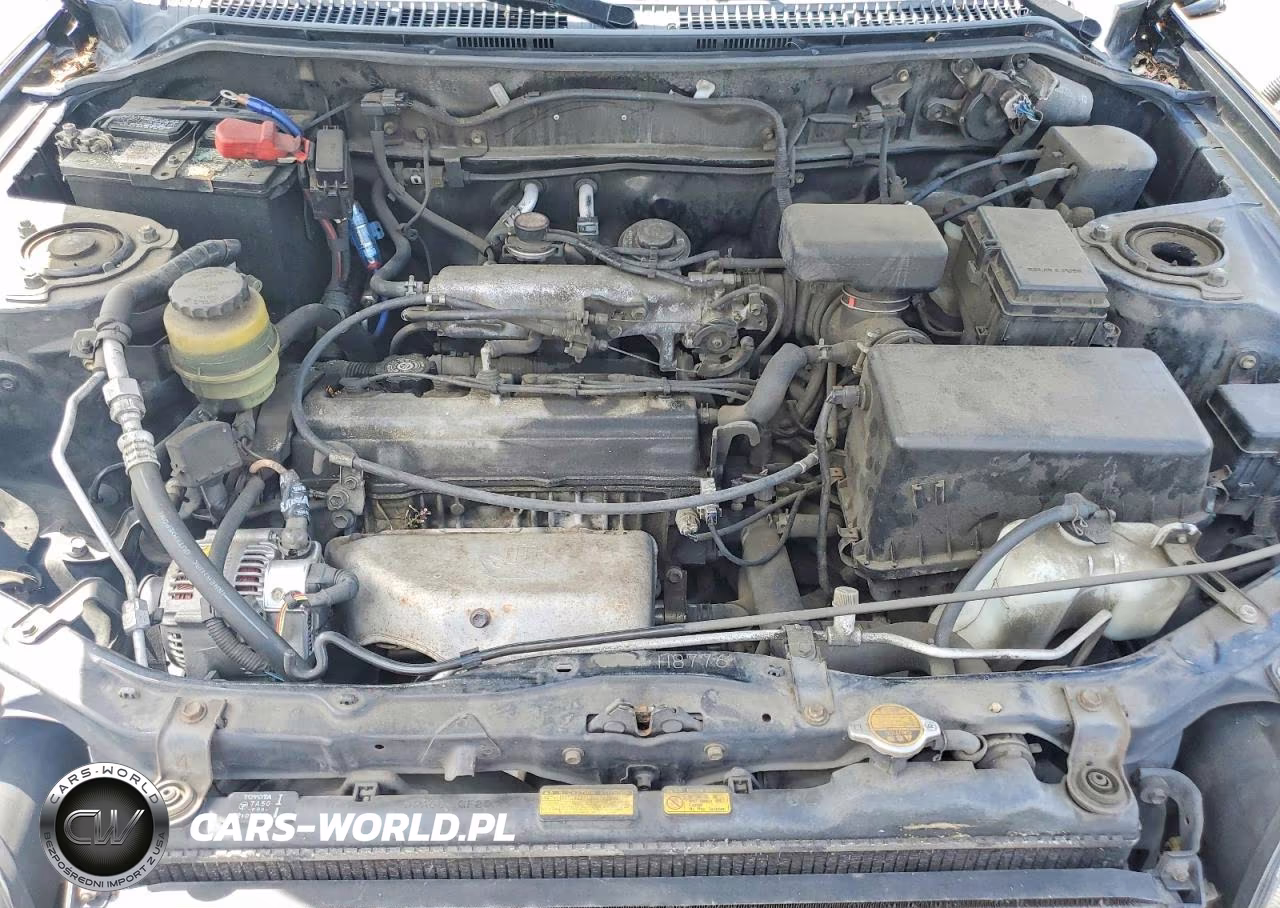 1999 Toyota Rav4 Base VIN:JT3GP10V5X7054881 - 11