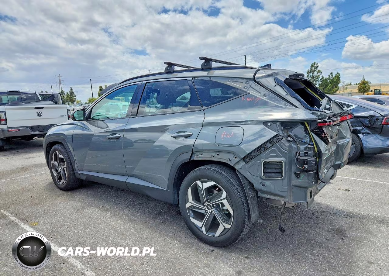 2024 Hyundai Tucson Limited VIN:5NMJE3DE8RH373314 - 2