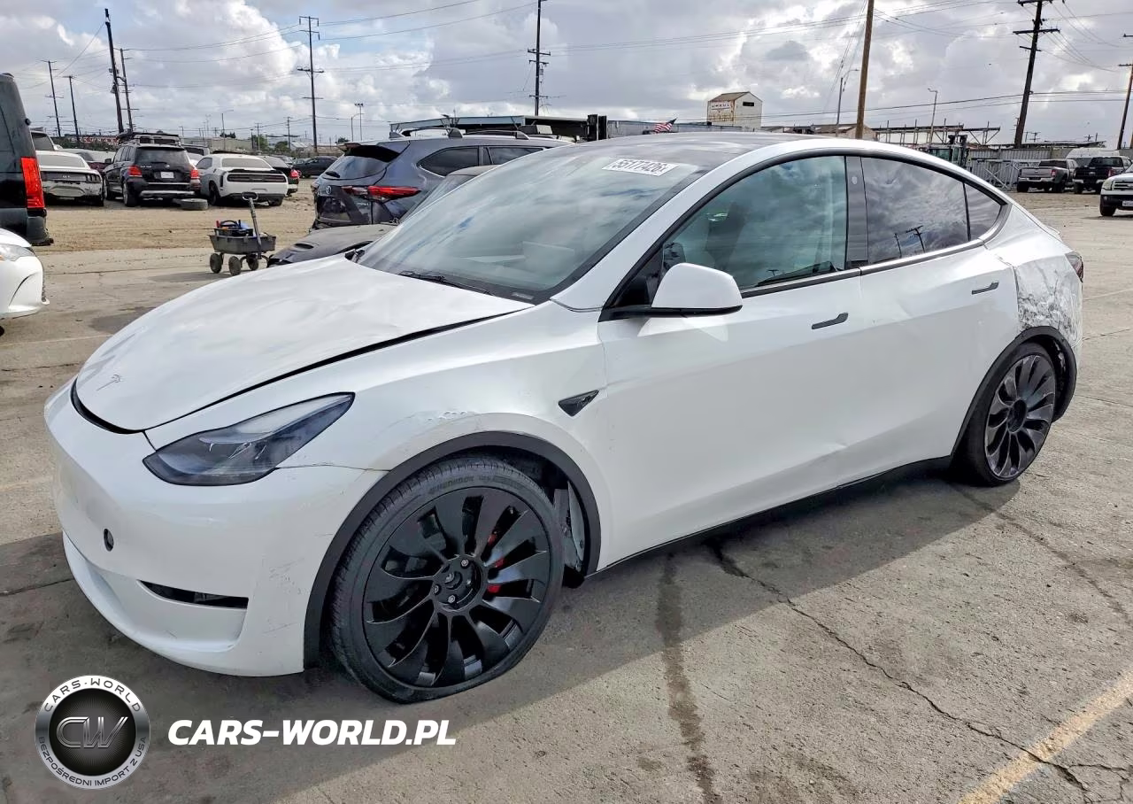 2023 Tesla Model Y