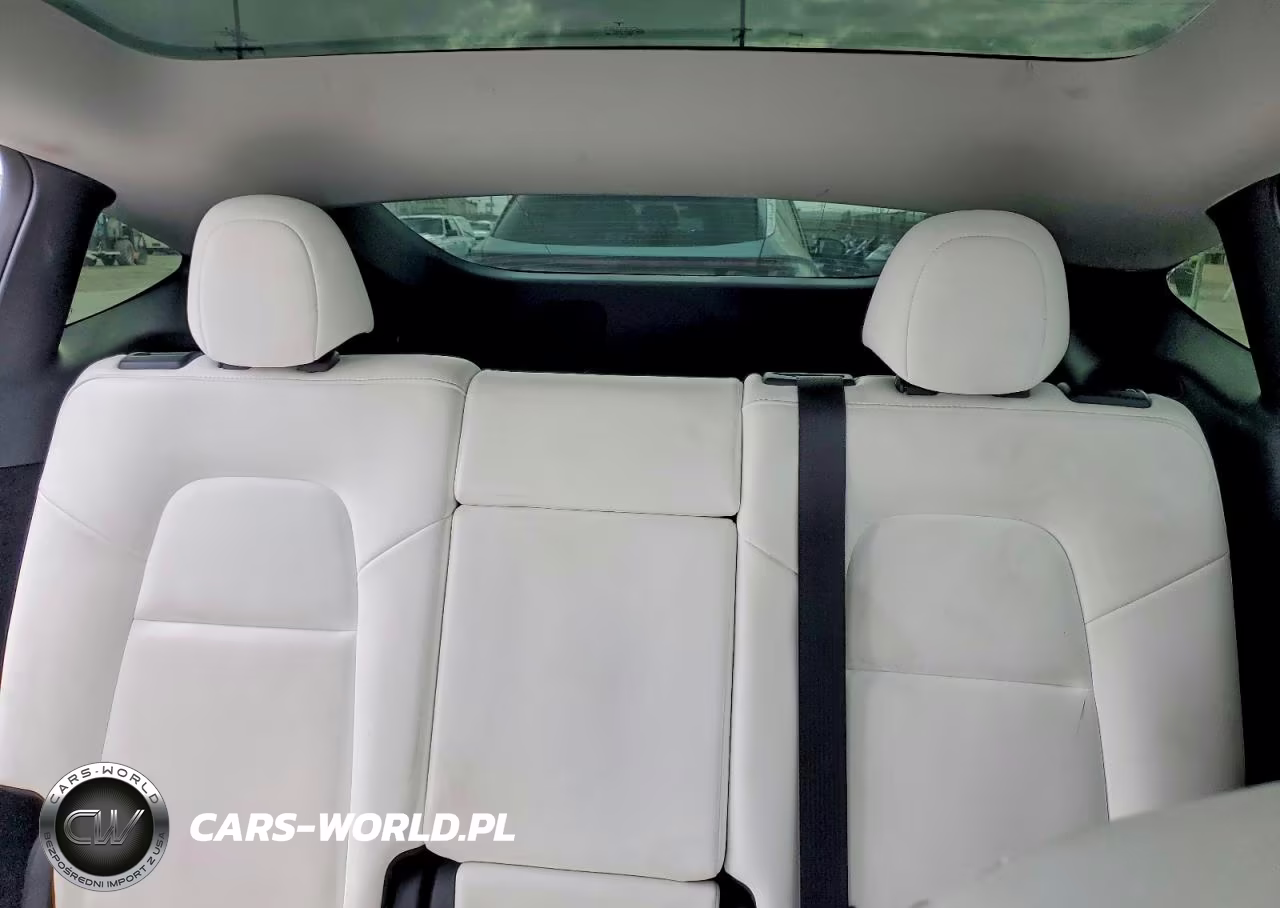 2023 Tesla Model Y VIN:7SAYGDEF5PF738880 - 10