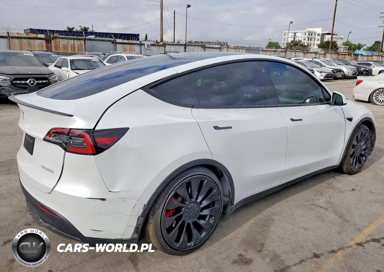2023 Tesla Model Y VIN:7SAYGDEF5PF738880 - 3