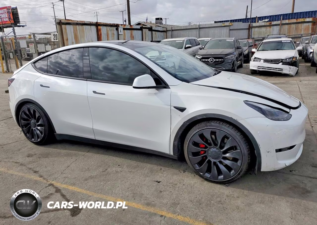 2023 Tesla Model Y VIN:7SAYGDEF5PF738880 - 4