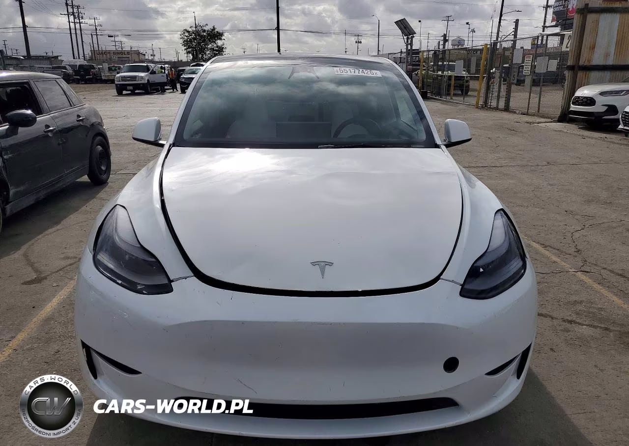 2023 Tesla Model Y VIN:7SAYGDEF5PF738880 - 5