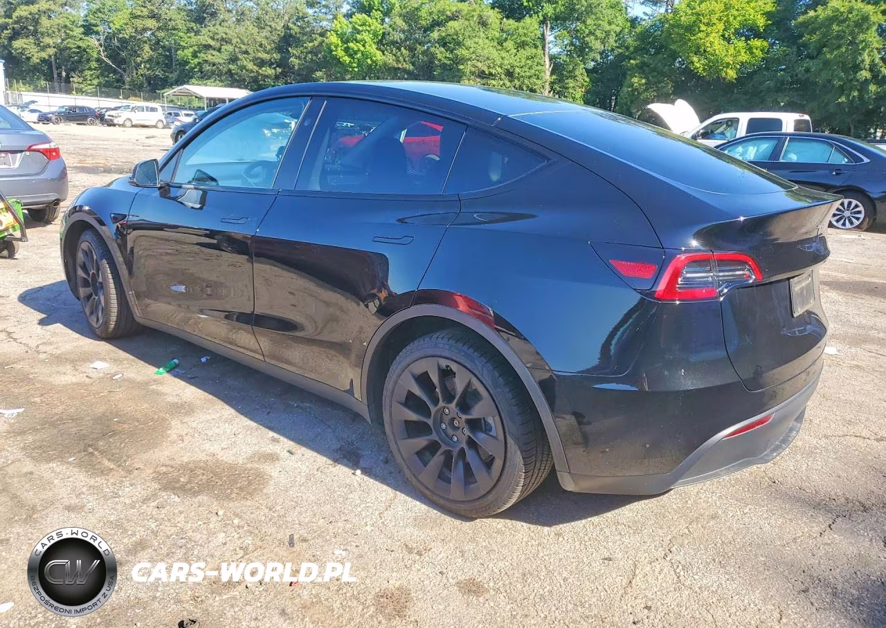 2023 Tesla Model Y VIN:7SAYGDEE3PF893001 - 2