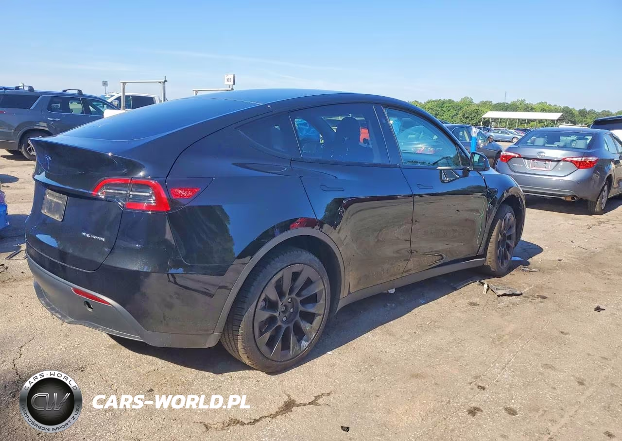 2023 Tesla Model Y VIN:7SAYGDEE3PF893001 - 3