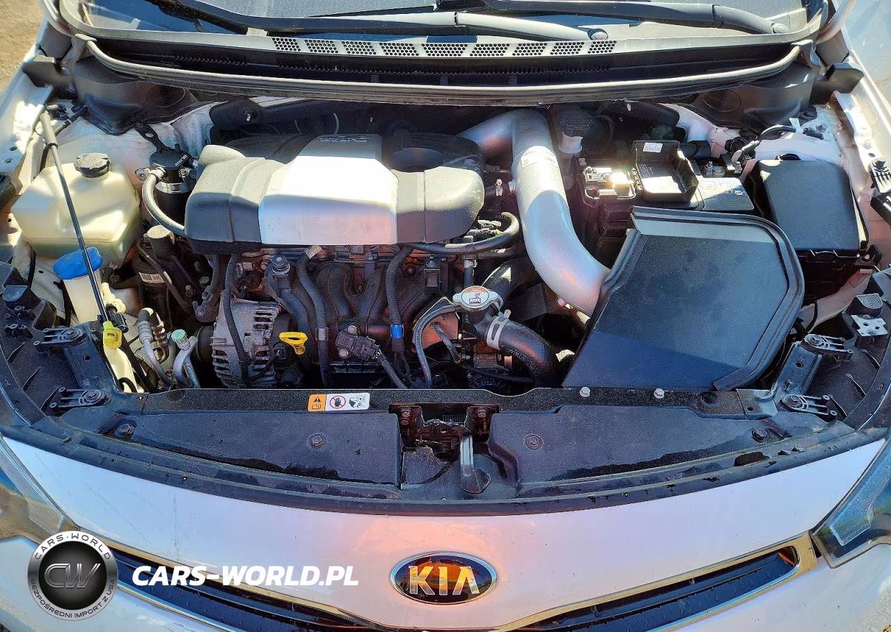 2016 Kia Forte VIN:KNAFZ5A32G5632465 - 11