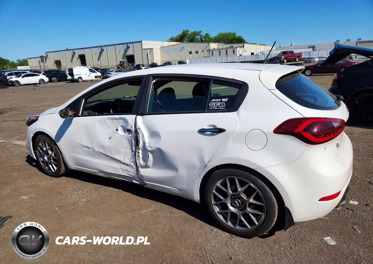 2016 Kia Forte VIN:KNAFZ5A32G5632465 - 2