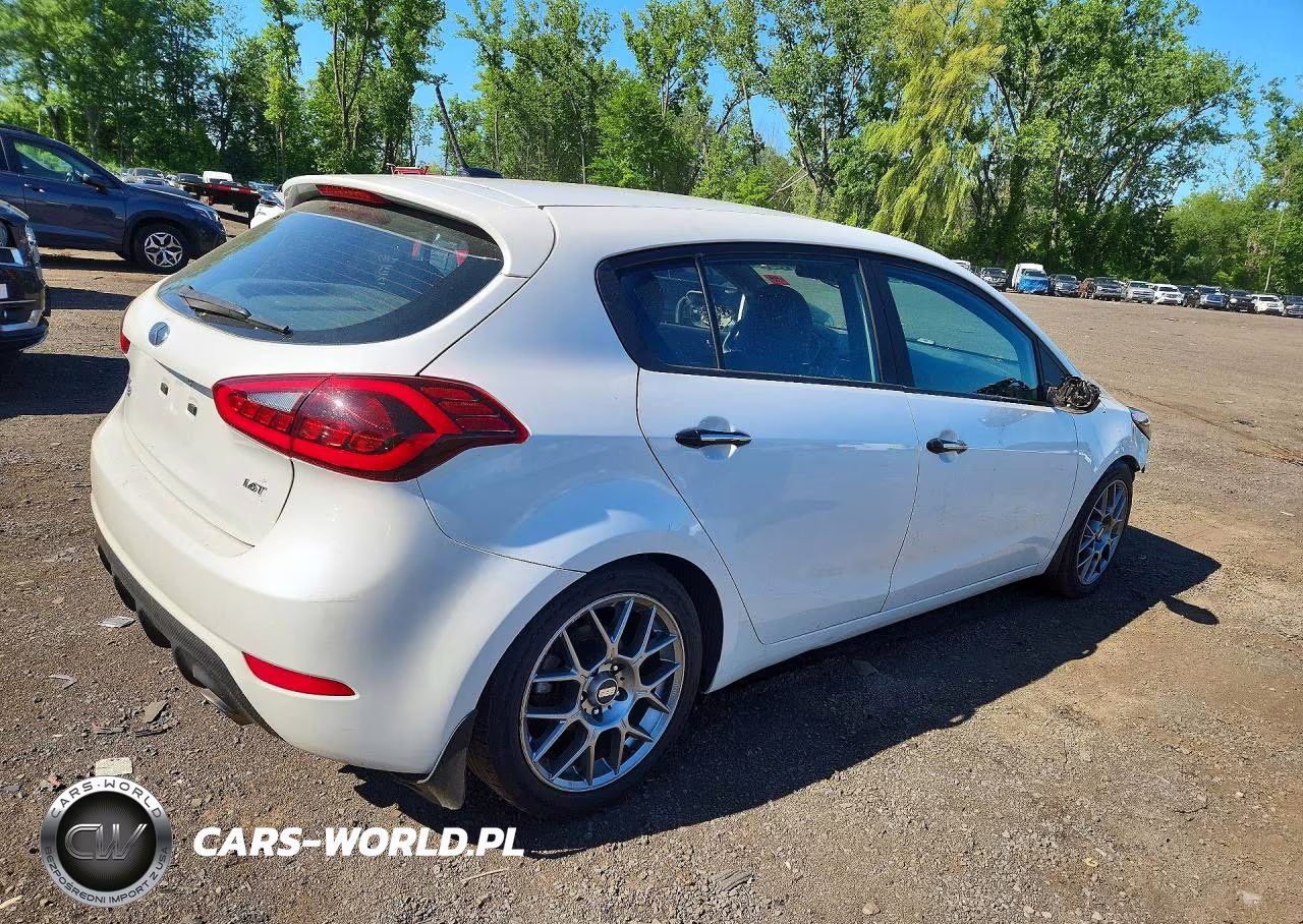 2016 Kia Forte VIN:KNAFZ5A32G5632465 - 3