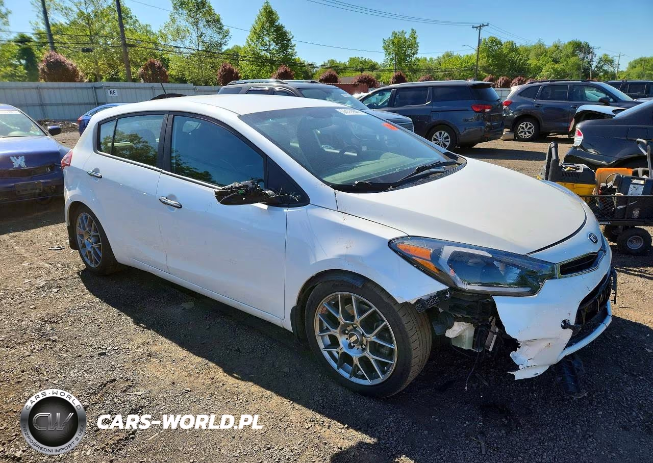 2016 Kia Forte VIN:KNAFZ5A32G5632465 - 4