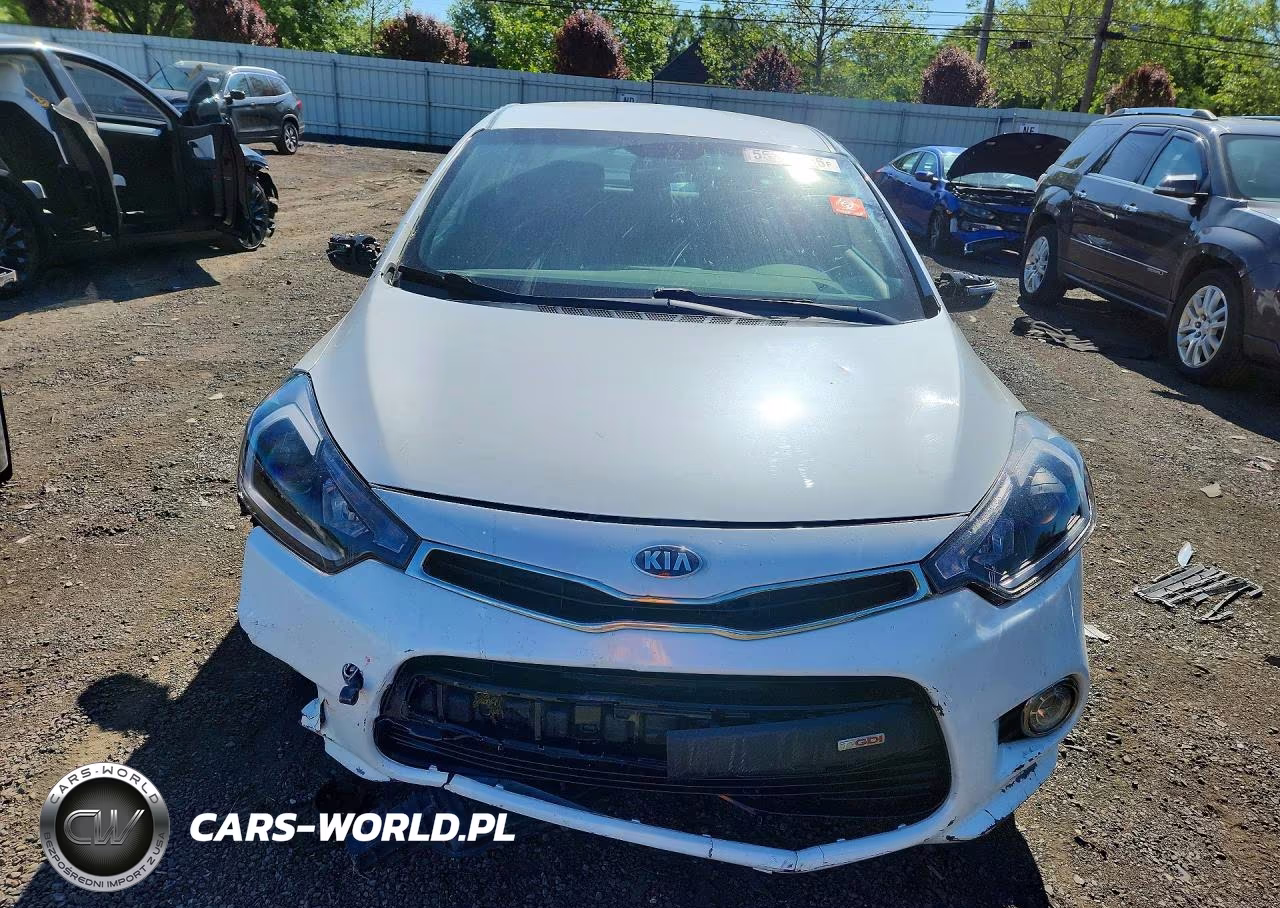 2016 Kia Forte VIN:KNAFZ5A32G5632465 - 5