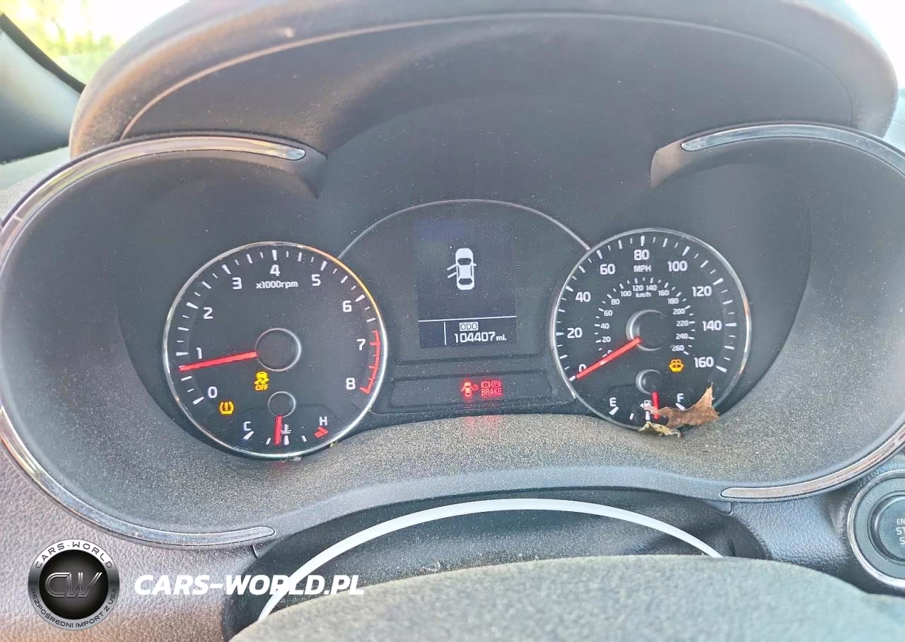 2016 Kia Forte VIN:KNAFZ5A32G5632465 - 9