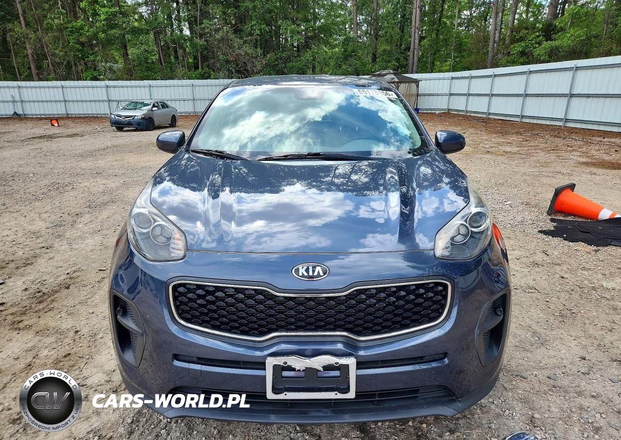 2019 Kia Sportage Lx VIN:KNDPM3AC9K7495550 - 5