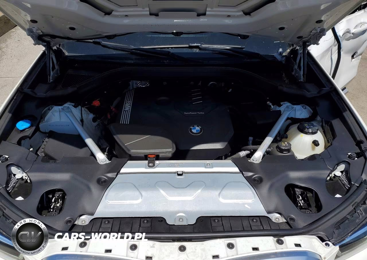 2023 BMW X3 xDrive30I VIN:5UX53DP03P9R66339 - 12
