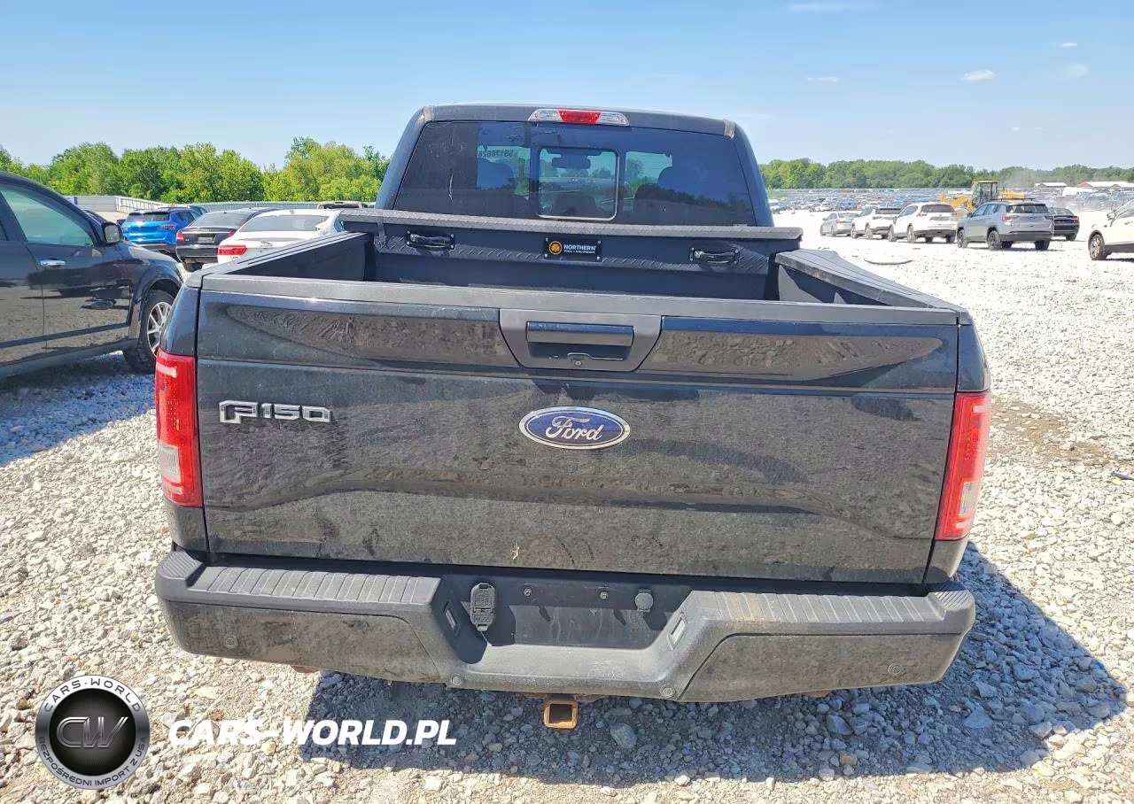 2015 Ford F150 Supercrew VIN:1FTFW1EG6FFC51292 - 6