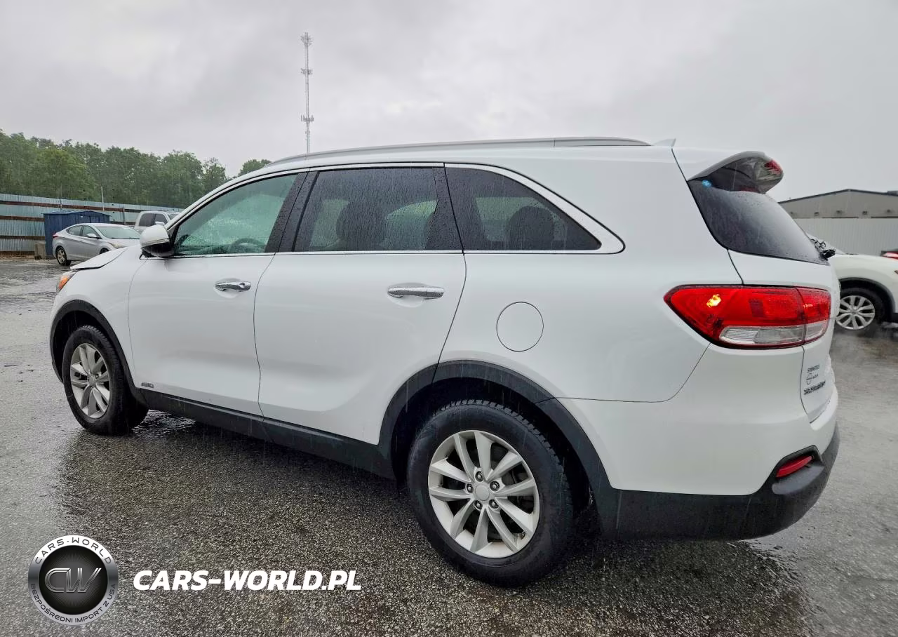 2016 Kia Sorento Lx VIN:5XYPGDA3XGG003244 - 2