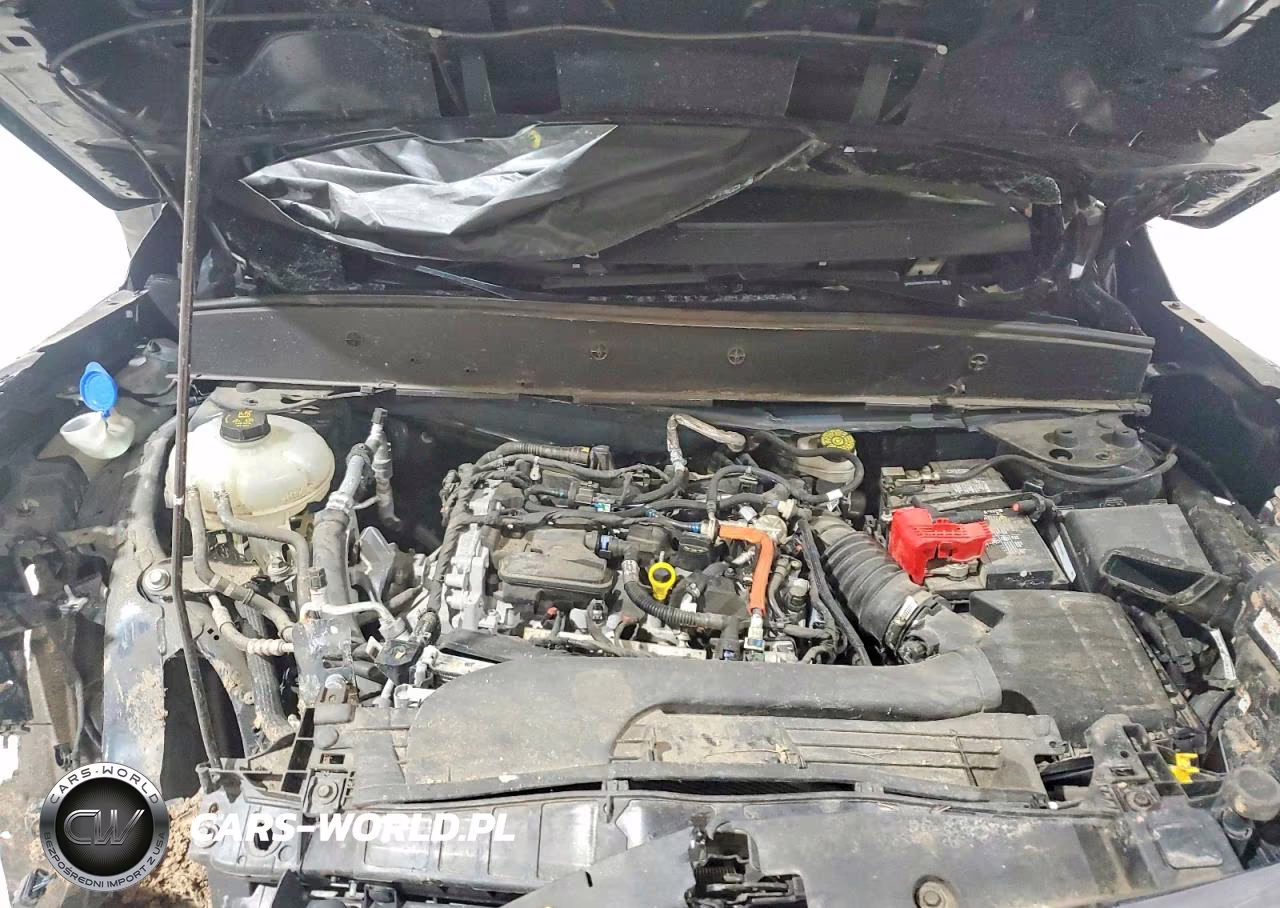 2023 Ford Bronco Sport Big Bend VIN:3FMCR9B64PRD44736 - 12