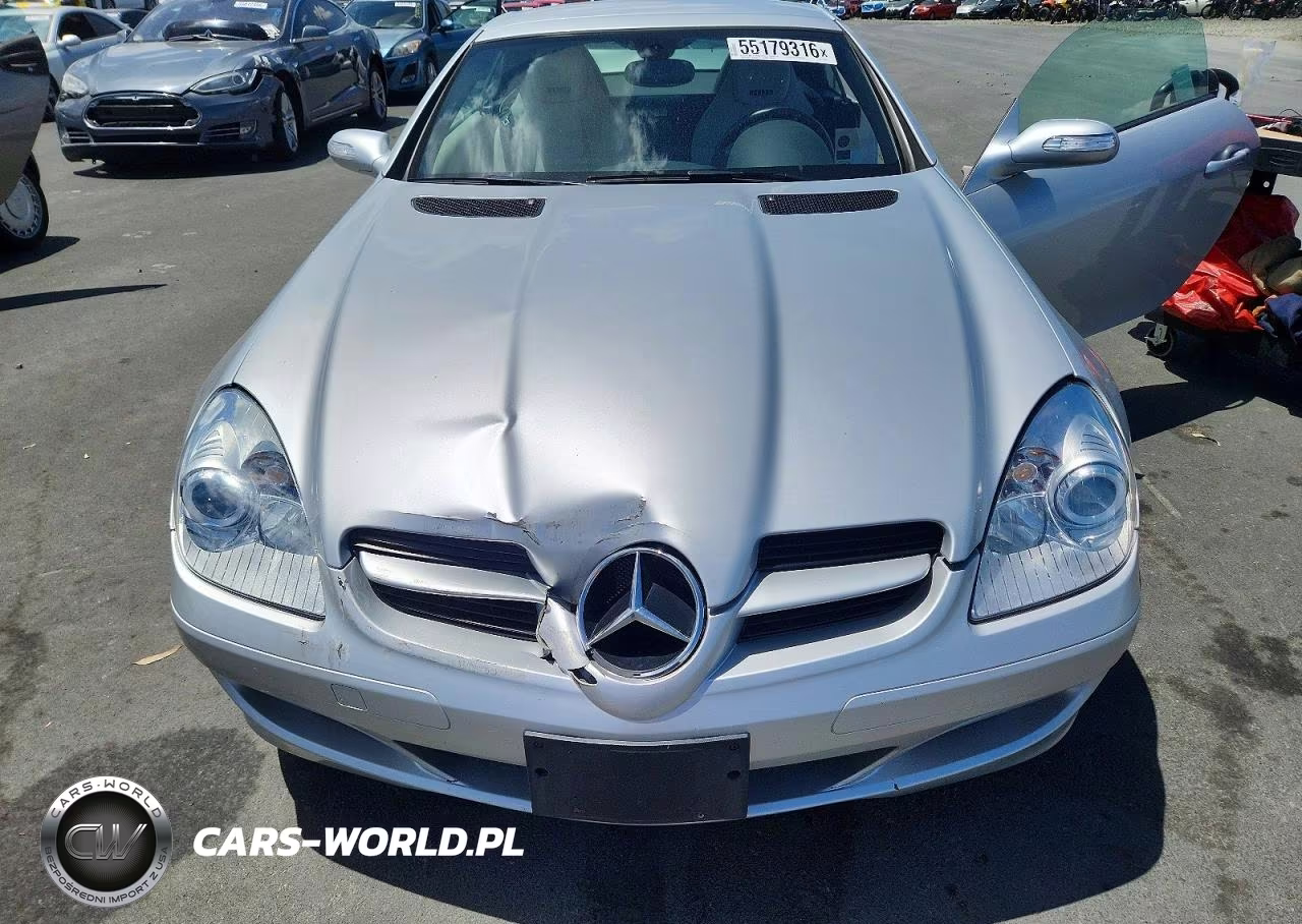 2008 Mercedes-Benz Slk 280 VIN:WDBWK54F08F188882 - 11