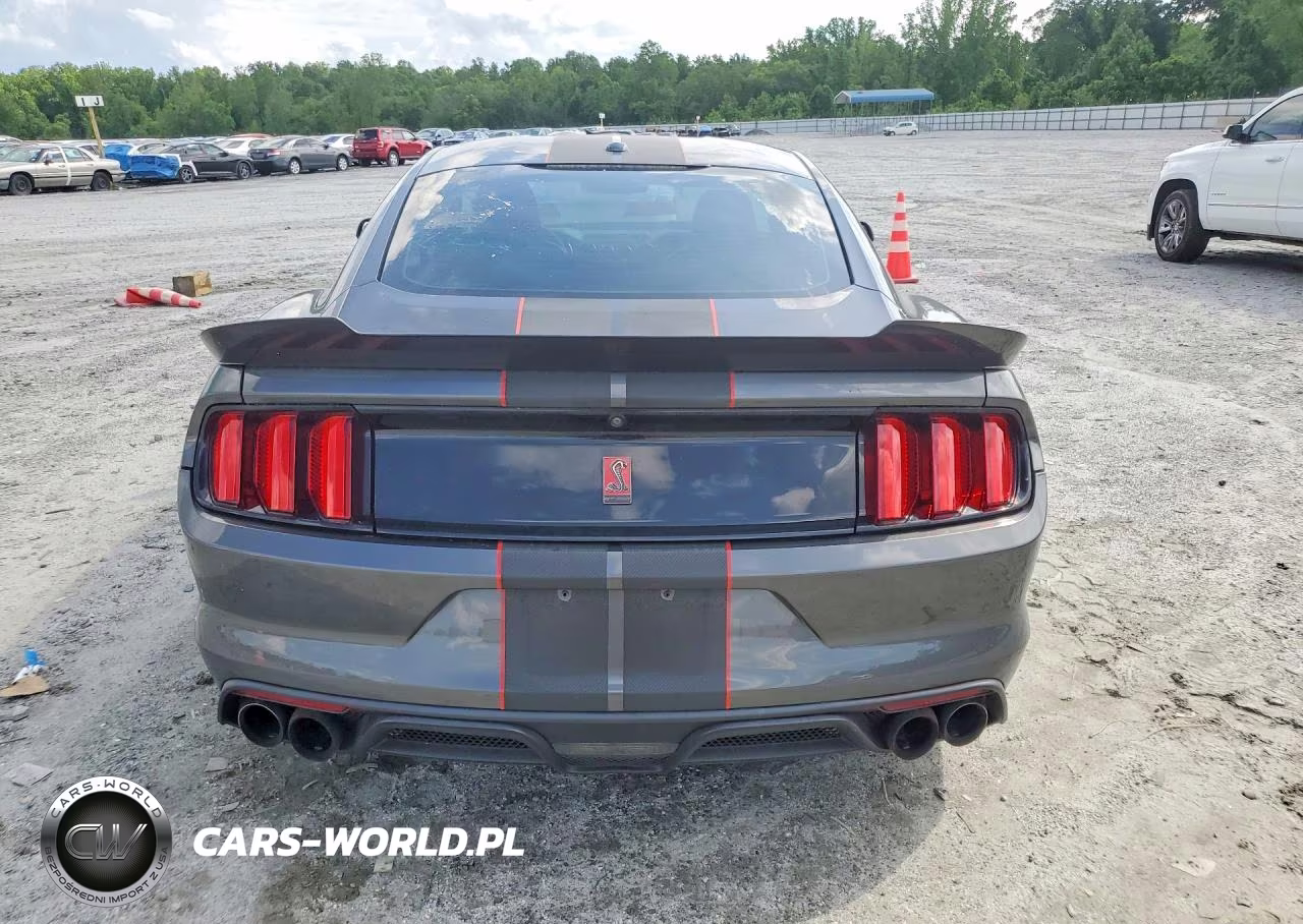 2016 Ford Mustang Shelby Gt350 VIN:1FA6P8JZXG5525930 - 6