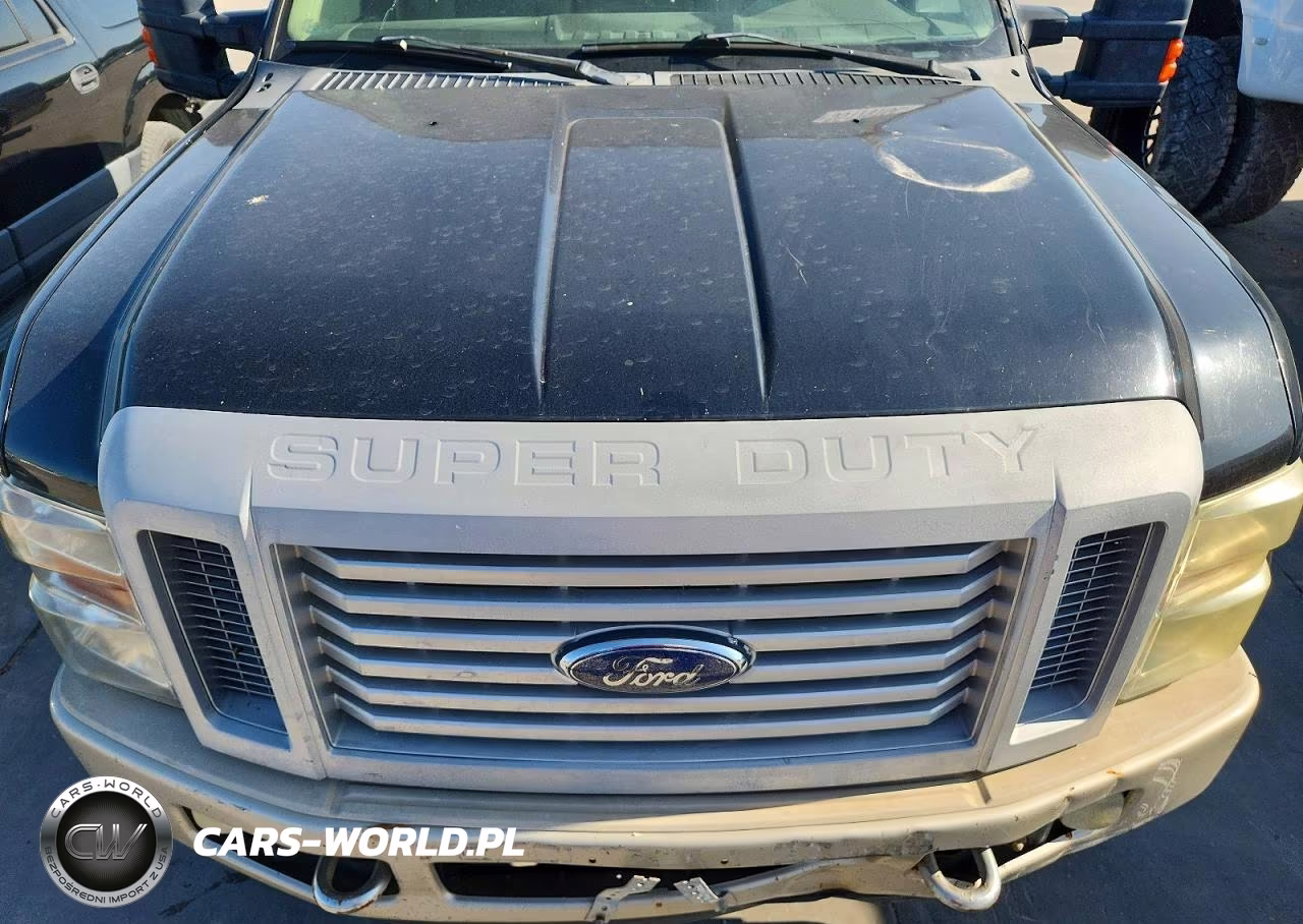 2010 FORD F-250 CABELA'S-HARLEY-DAVIDSON-KING RANCH-LARIAT-XL-XLT VIN:1FTSW2BR1AEA69685 - 11