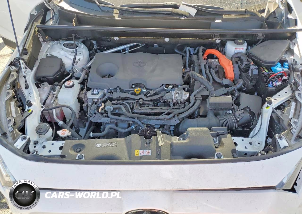 2025 Toyota Rav4 Le VIN:JTMMWRFV2SD336669 - 12
