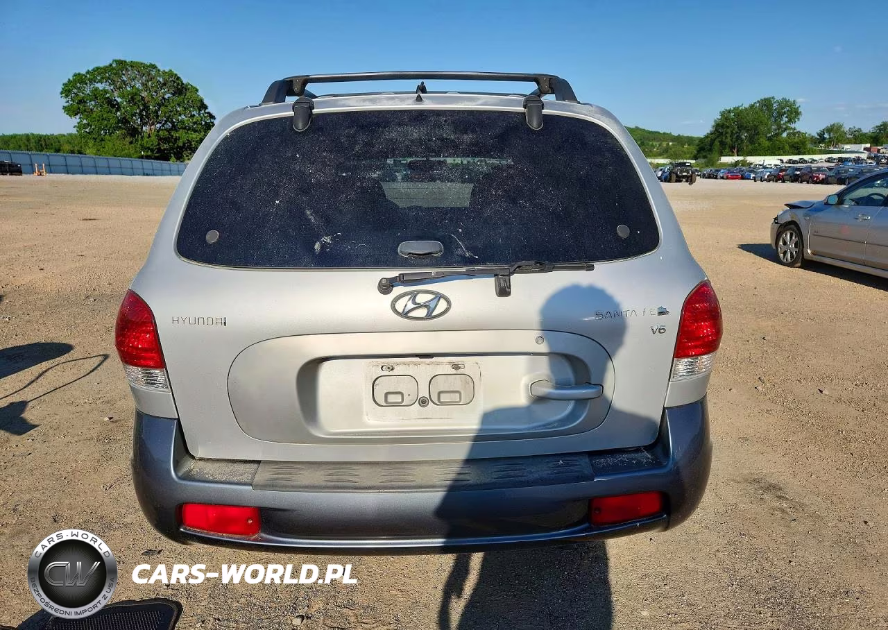 2005 Hyundai Santa Fe Gls VIN:KM8SC13D05U949113 - 6