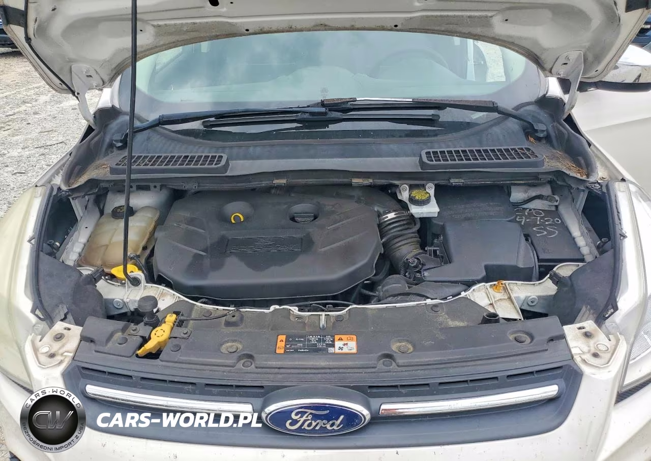 2015 Ford Escape Se VIN:1FMCU0G9XFUB59756 - 11