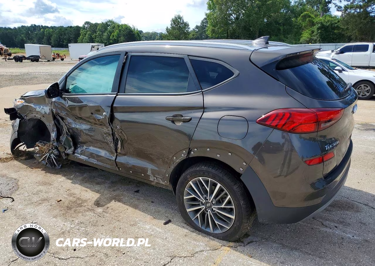 2019 Hyundai Tucson Sel VIN:KM8J3CALXKU993519 - 2