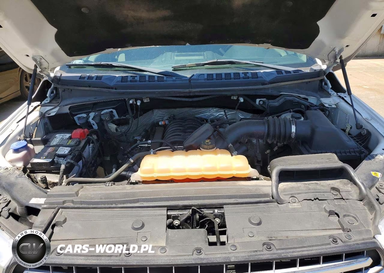 2019 Ford F150 Supercrew VIN:1FTEW1E57KKC07703 - 11