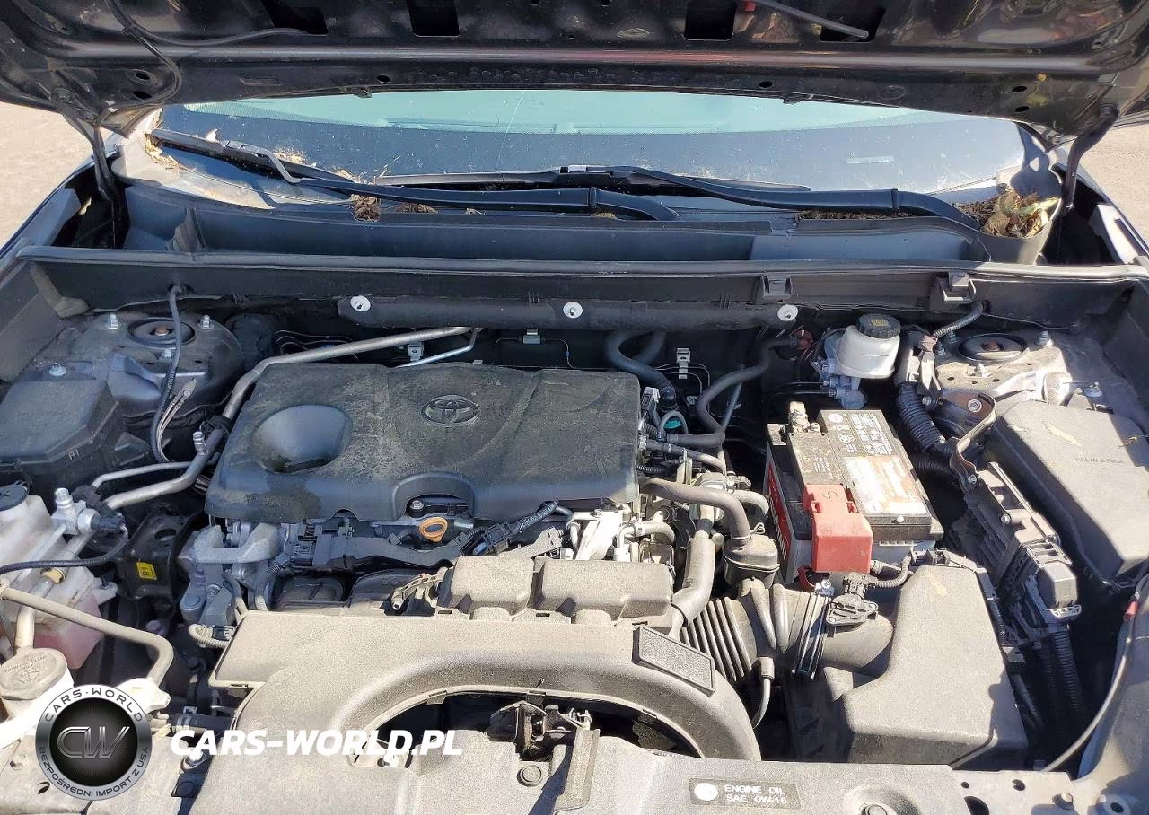 2019 Toyota Rav4 Xle VIN:2T3W1RFV3KW031286 - 12