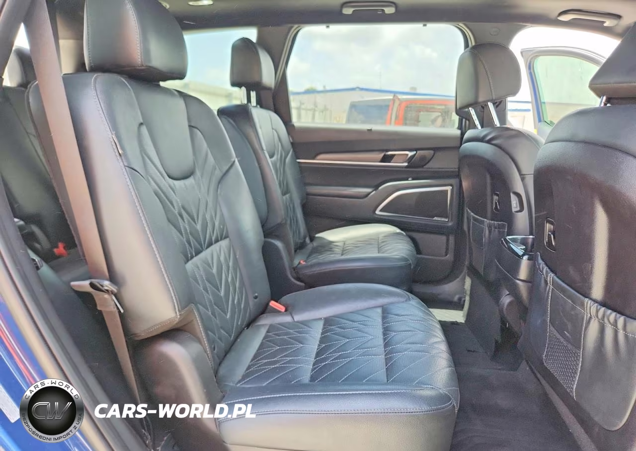 2024 Kia Telluride Sx X-Pro VIN:5XYP5DGC0RG512064 - 11