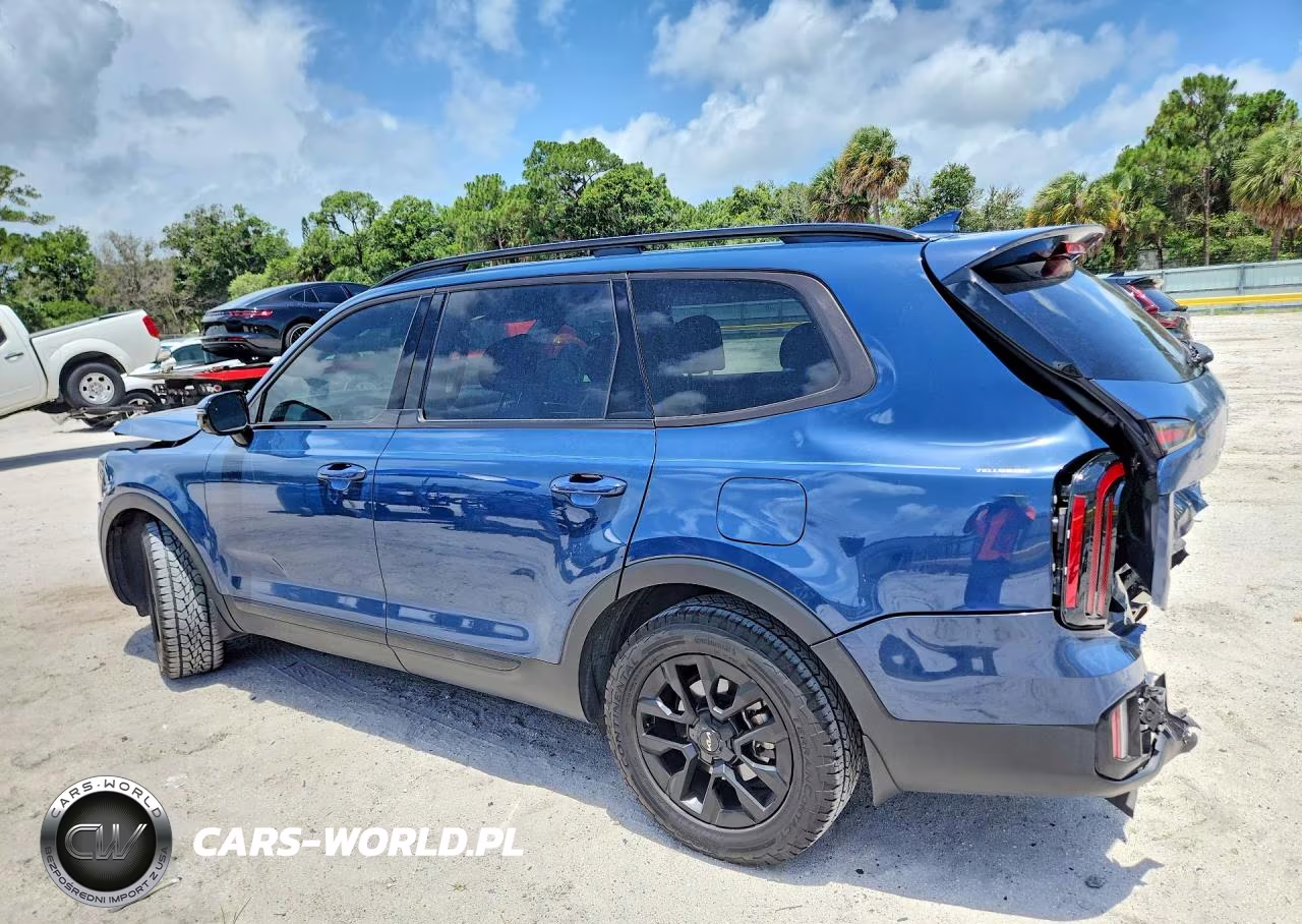 2024 Kia Telluride Sx X-Pro VIN:5XYP5DGC0RG512064 - 2