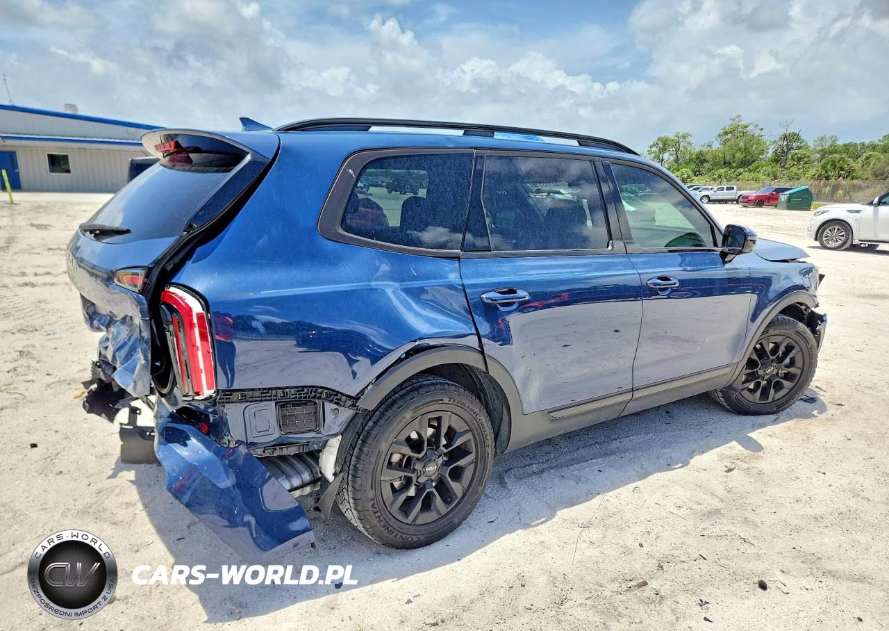 2024 Kia Telluride Sx X-Pro VIN:5XYP5DGC0RG512064 - 3