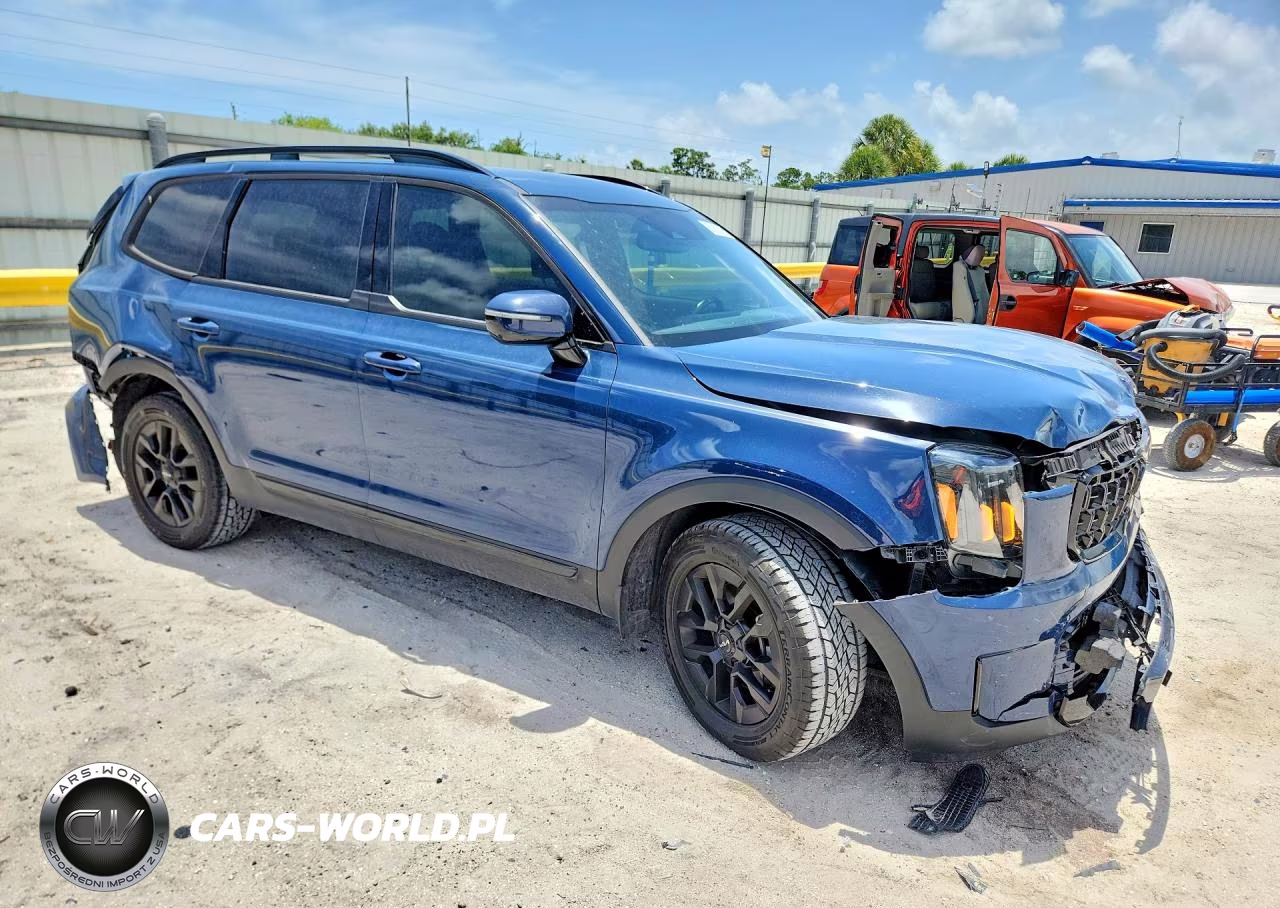 2024 Kia Telluride Sx X-Pro VIN:5XYP5DGC0RG512064 - 4