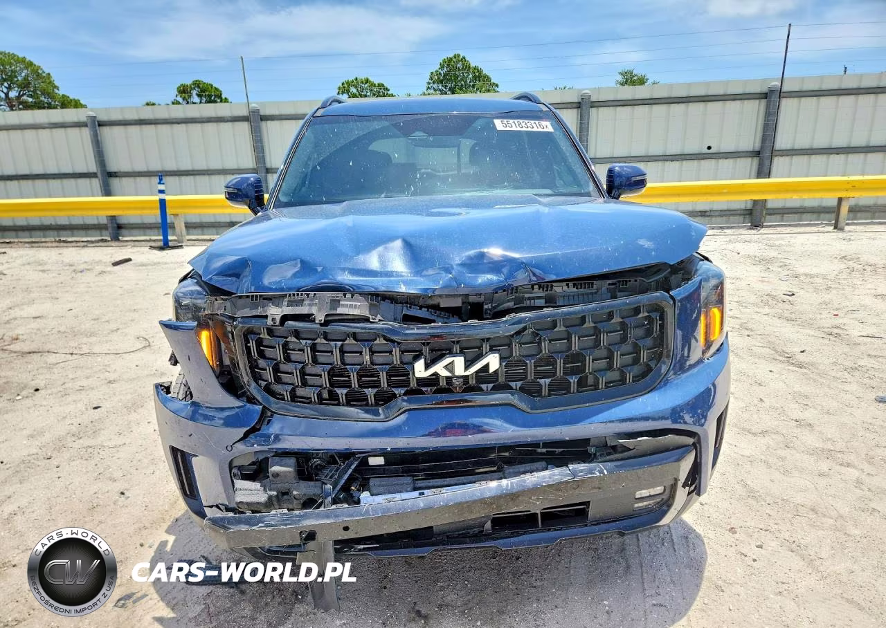2024 Kia Telluride Sx X-Pro VIN:5XYP5DGC0RG512064 - 5