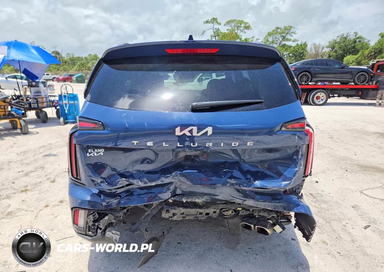 2024 Kia Telluride Sx X-Pro VIN:5XYP5DGC0RG512064 - 6