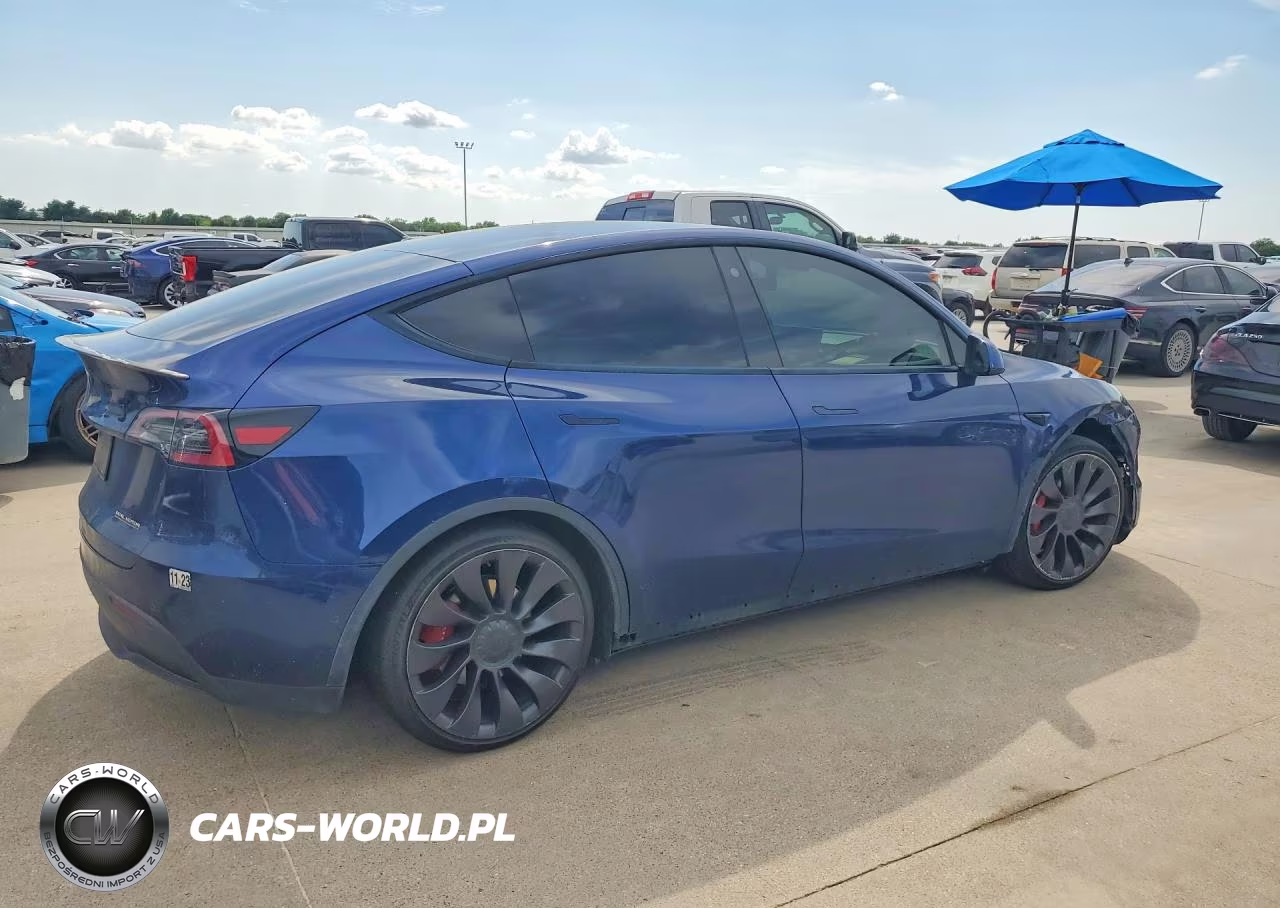 2022 Tesla Model Y VIN:7SAYGDEF8NF313067 - 3