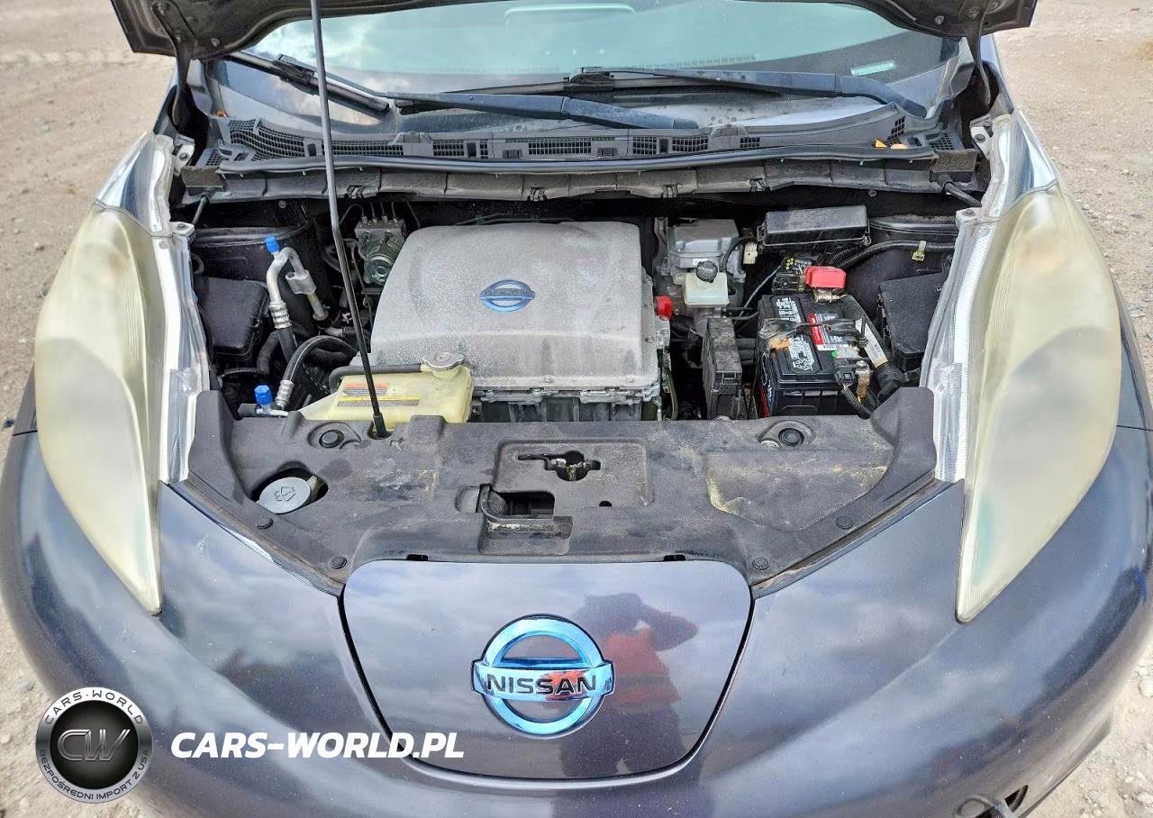 2013 Nissan Leaf S VIN:1N4AZ0CP8DC409280 - 12