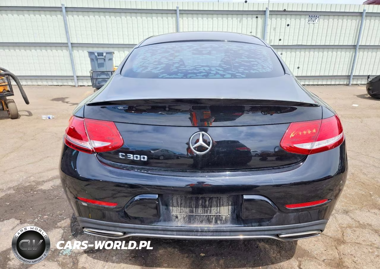 2017 Mercedes-Benz C300 VIN:WDDWJ4JBXHF362060 - 6