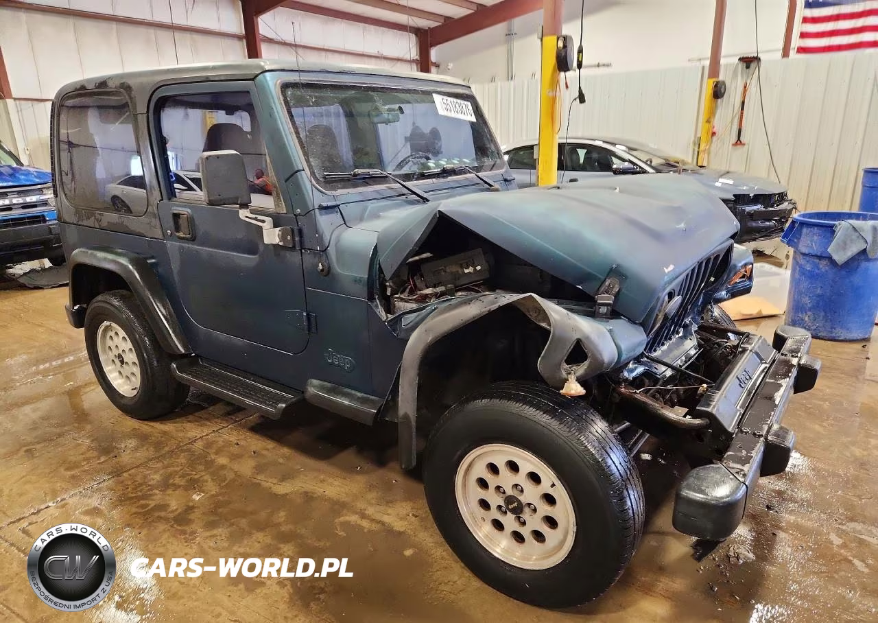 1998 Jeep Wrangler - Tj Se VIN:1J4FY29P8WP706593 - 4