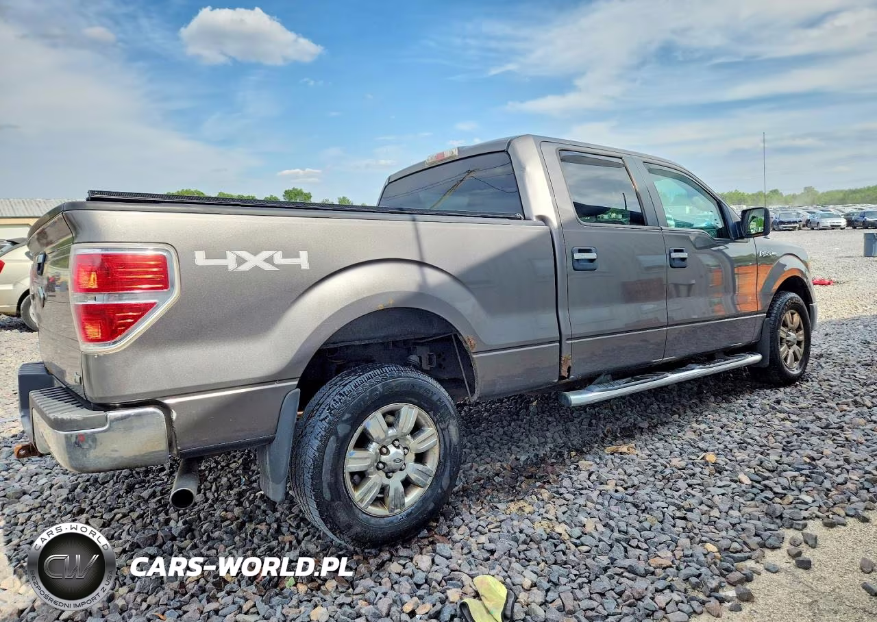 2010 Ford F150 Supercrew VIN:1FTFW1EV2AFC89223 - 3